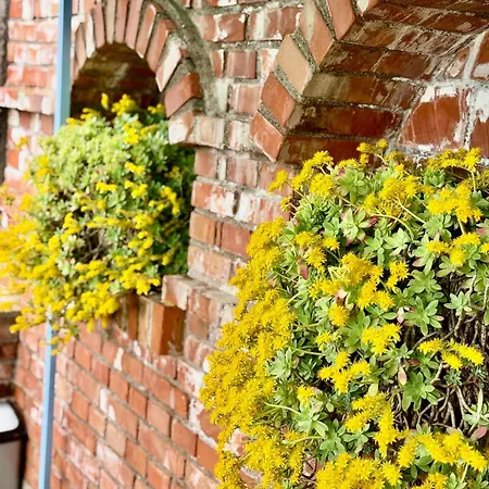 Апартаменты Sweet Шкодер