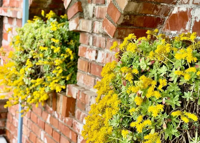 Апартаменты Sweet Шкодер